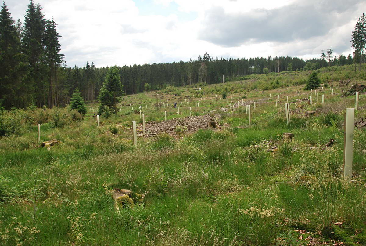 2012-06-10 Hohenroth 093.jpg